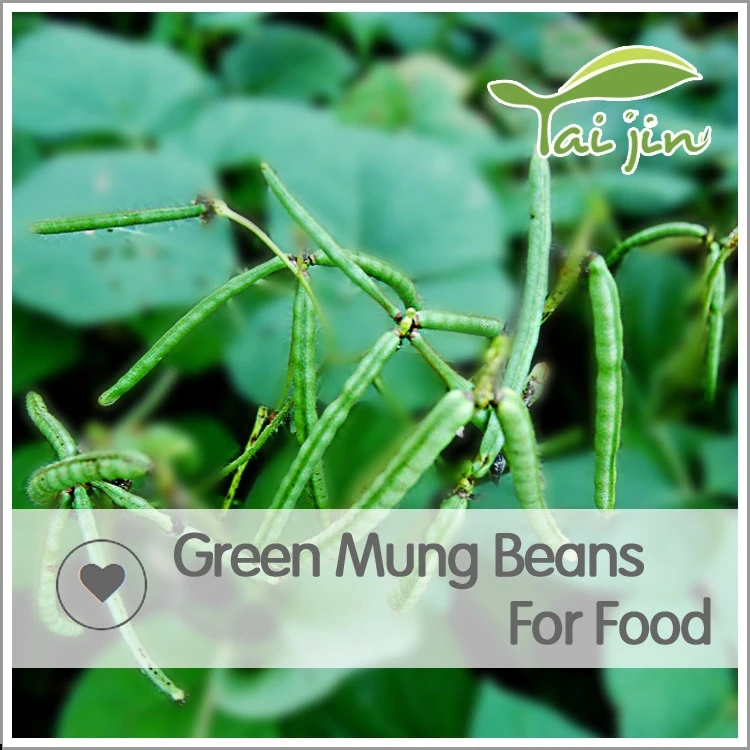 
2019 New Crop Low Price Moong Dal Mung Dal 