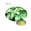 Free Sample Kavalactones 30% 50% 70% Kava Extract Powder