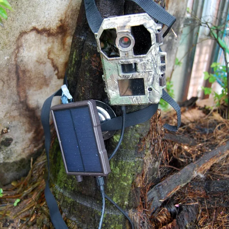 Mini Solar Panel For Outdoor Wildlife Trail Hunting Camera Buy Mini