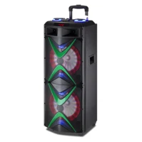 

Popular Private Module dual 10 inch bluetooth Karaoke Trolley Speaker wireless with Battery