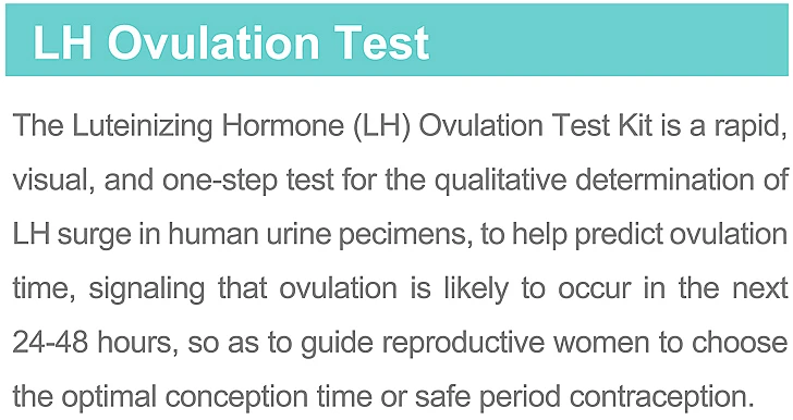 3. lh description.jpg
