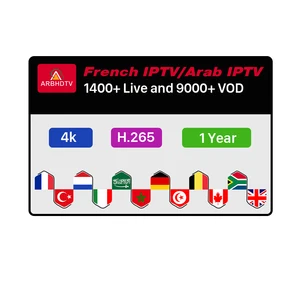 Arabic & French IPTV Channel Subscription 12 Months