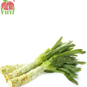 asparagus lettuce图片