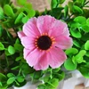 New Style Artificial Fabric Daisies Flower Head Making Machines