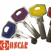 FAV1DP Brass key blank UL050 UL051 UL052