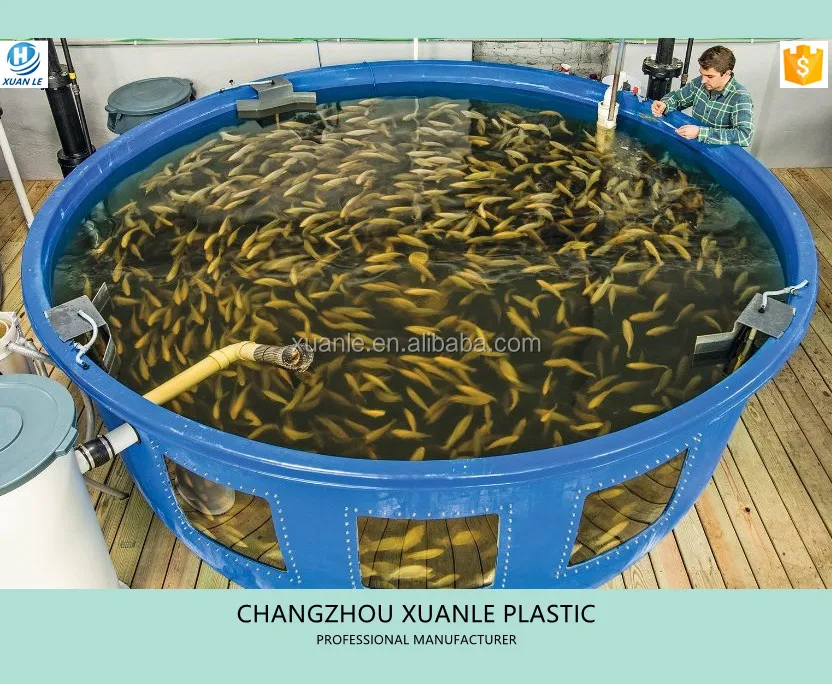 AQUAPONIC-FISH-FARMER_.jpg