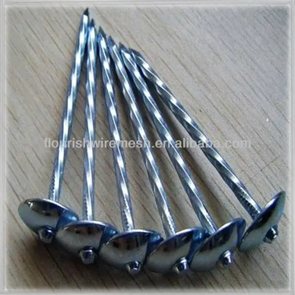 Galvanized Roofing Nail / Roofing Nails / Corrugated Roofing Nails