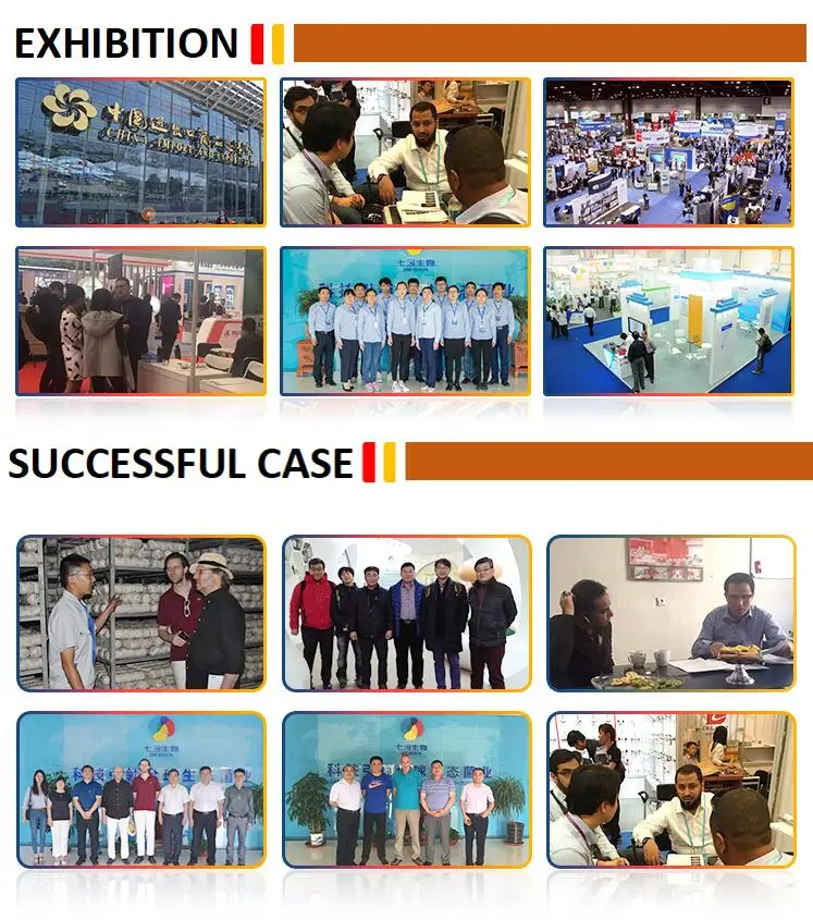 EXHIBITION&CASE