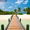 tropical wall mural plant animal shell wallpaper beach boat tree sunshine background