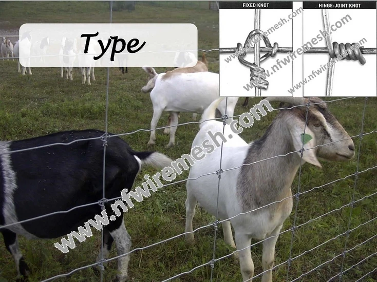 cattle fence (5).jpg