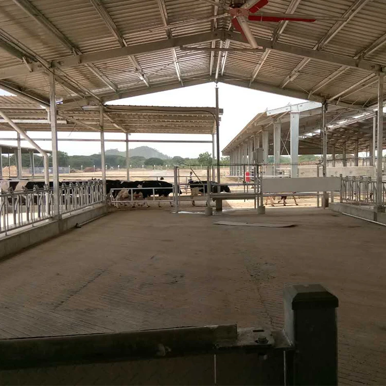 Flat Pack Open Side Poultry Shed Chicken House In Pakistan Buy Flat