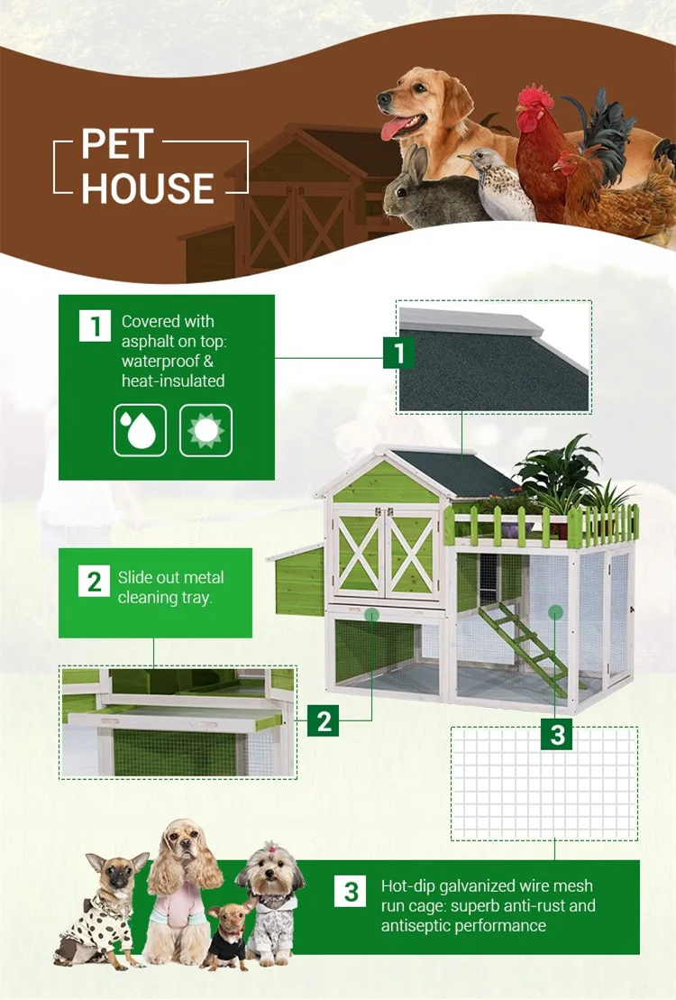 pet .jpg