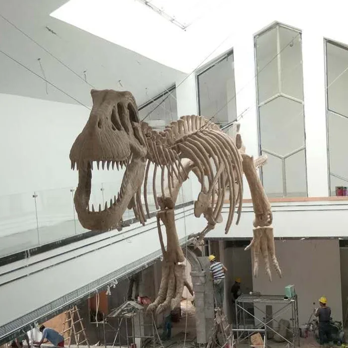 life size dinosaur skeleton for sale