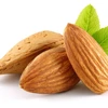China Xinjiang dried organic almonds