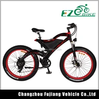 

26" 48V 750W Mountain Exercise Electric Bike Fat tyre Beach electric bike/bycicle/ebike