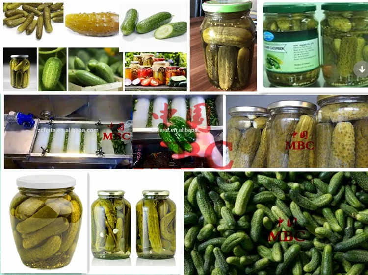 cucumber machinery.jpg