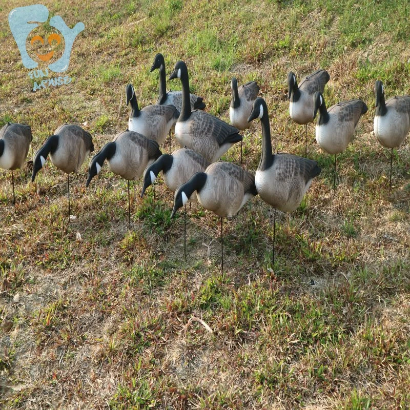 goose 2 (2).jpg
