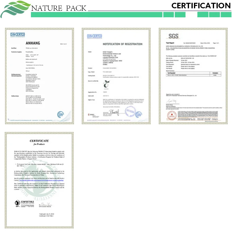 certification.jpg