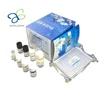Human GTPase activating protein,GAP ELISA Kit