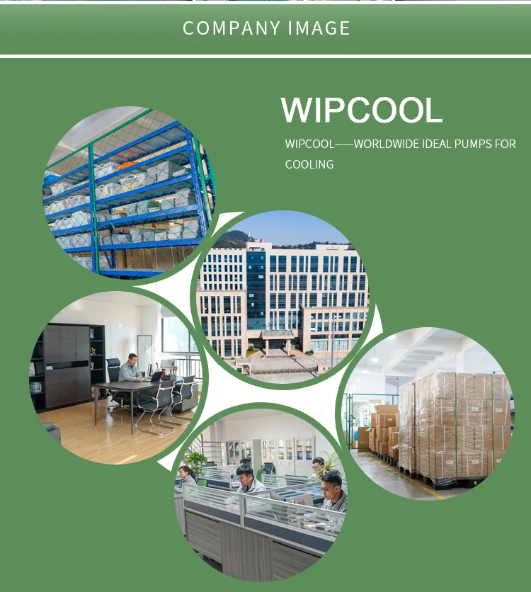 Wipcool Mini Condensate Drain Pump For Home Air Conditioner Compressor Prices Buy Drain Pump