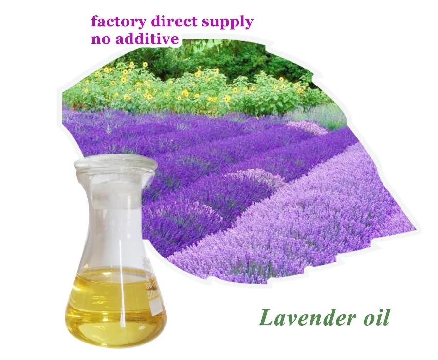 

health care gift buy bulk essential oil lavender for perfume oil