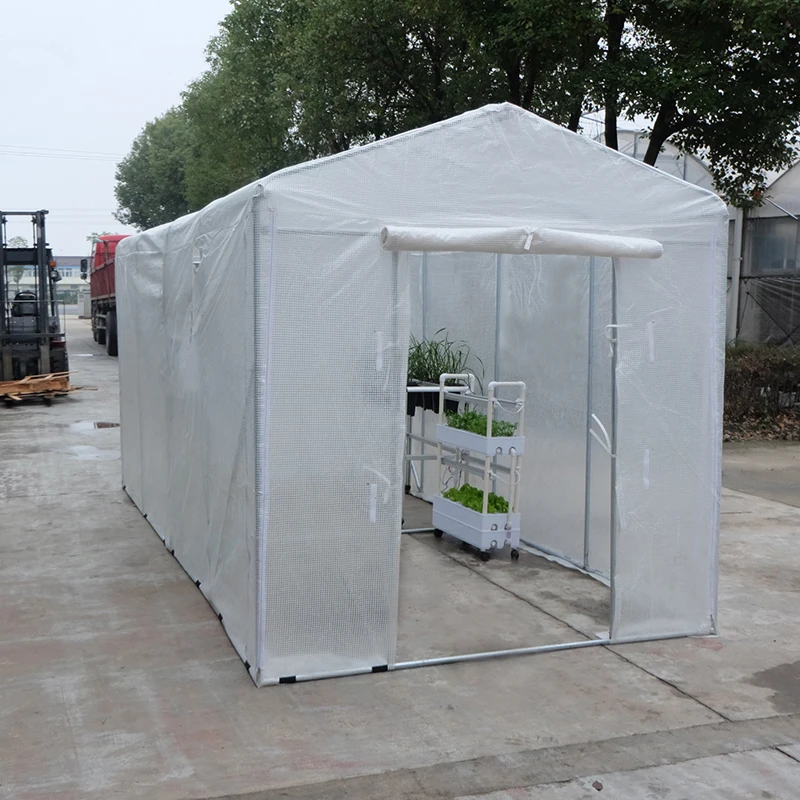 

Farming Used Cheap Tropical Tunnel PE Greenhouse