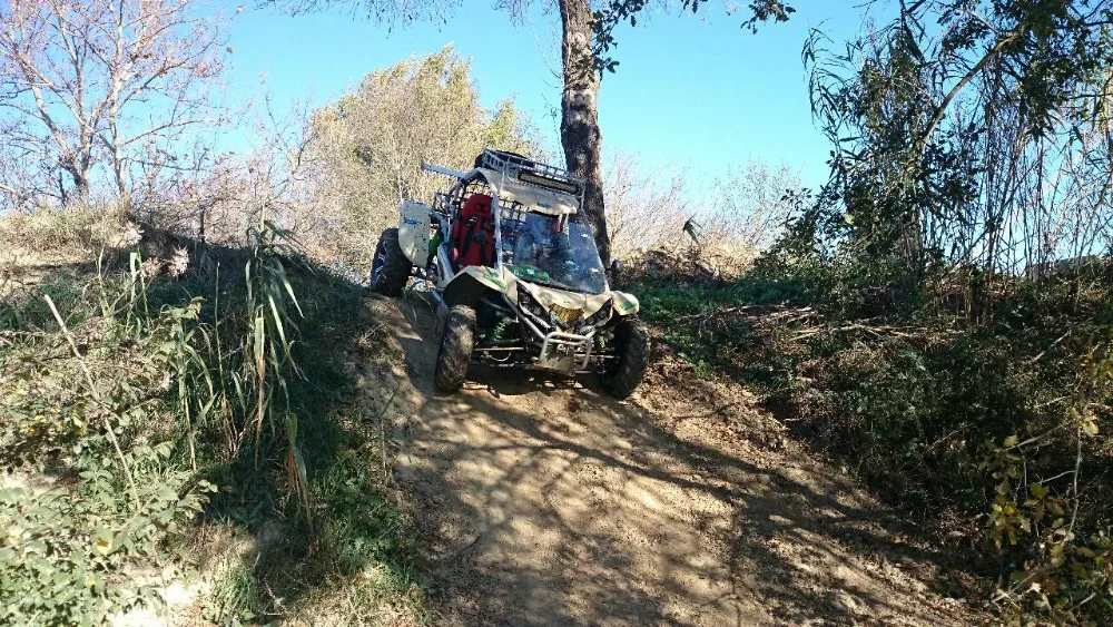 trail buggy for sale