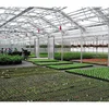 Standard Wide Span Nursery Greenhouse
