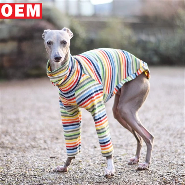 italian greyhound pajamas