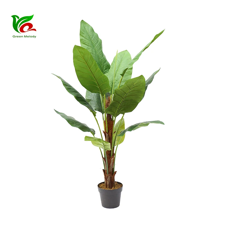 China De Fábrica De Las Plantas Decorativas De Plástico Strelitzia Reginae  Árbol De Banana Para Interior - Buy Proveedor De: Importación-exportación  De Vidrio Y Productos De Vidrio Product on 