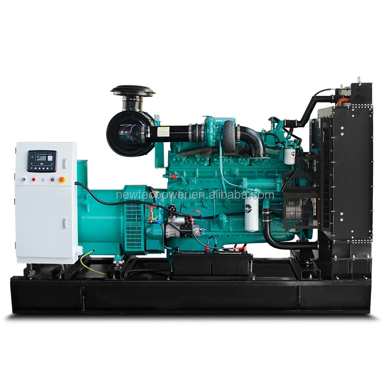Cummins300kw-2