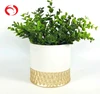 Hot sale ceramic plant pot modern gold pot matt flower pot