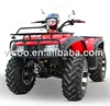 MAD MAX ATV 300cc Quad