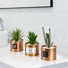 Mini Artificial Plants Plastic Green Grass Cactus with Special Golden Can Pot Design Home decoration