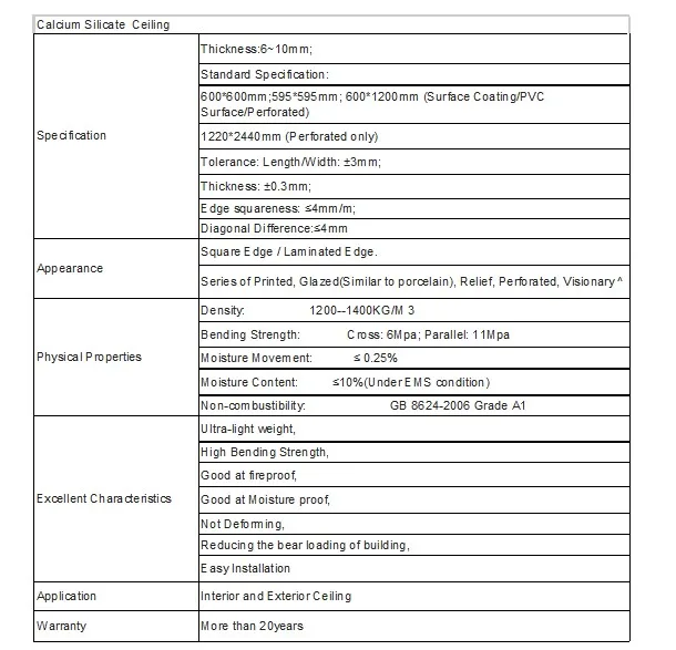 CALCIUM SILICATE CEILING.JPG