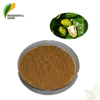 Low Price Morinda Citrifolia Fruit Juice Freeze Dried Noni Extract ...