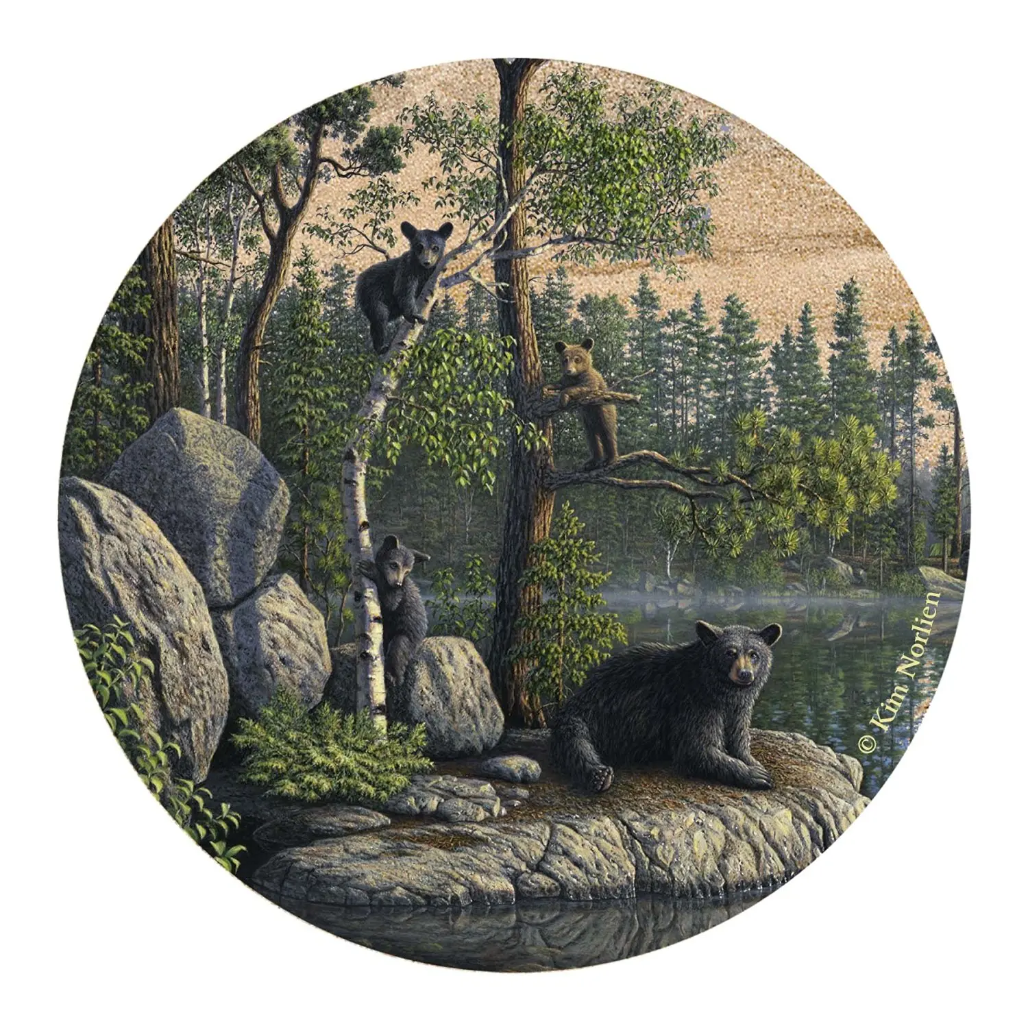 Thirstystone Drink Coaster Set, Bears