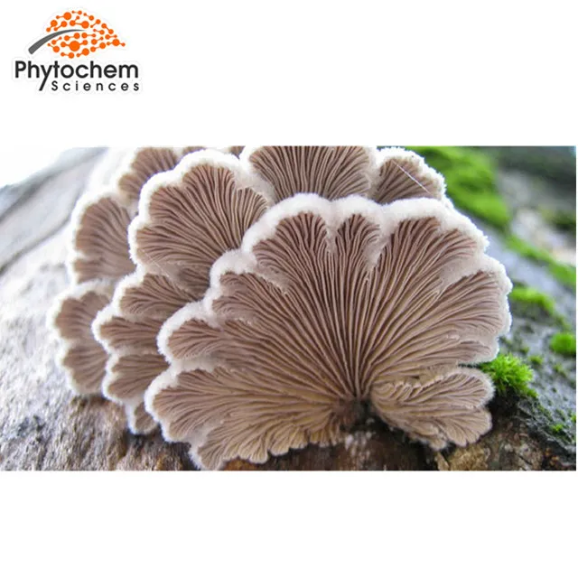 Schizophyllan WhiteGensing.jpg