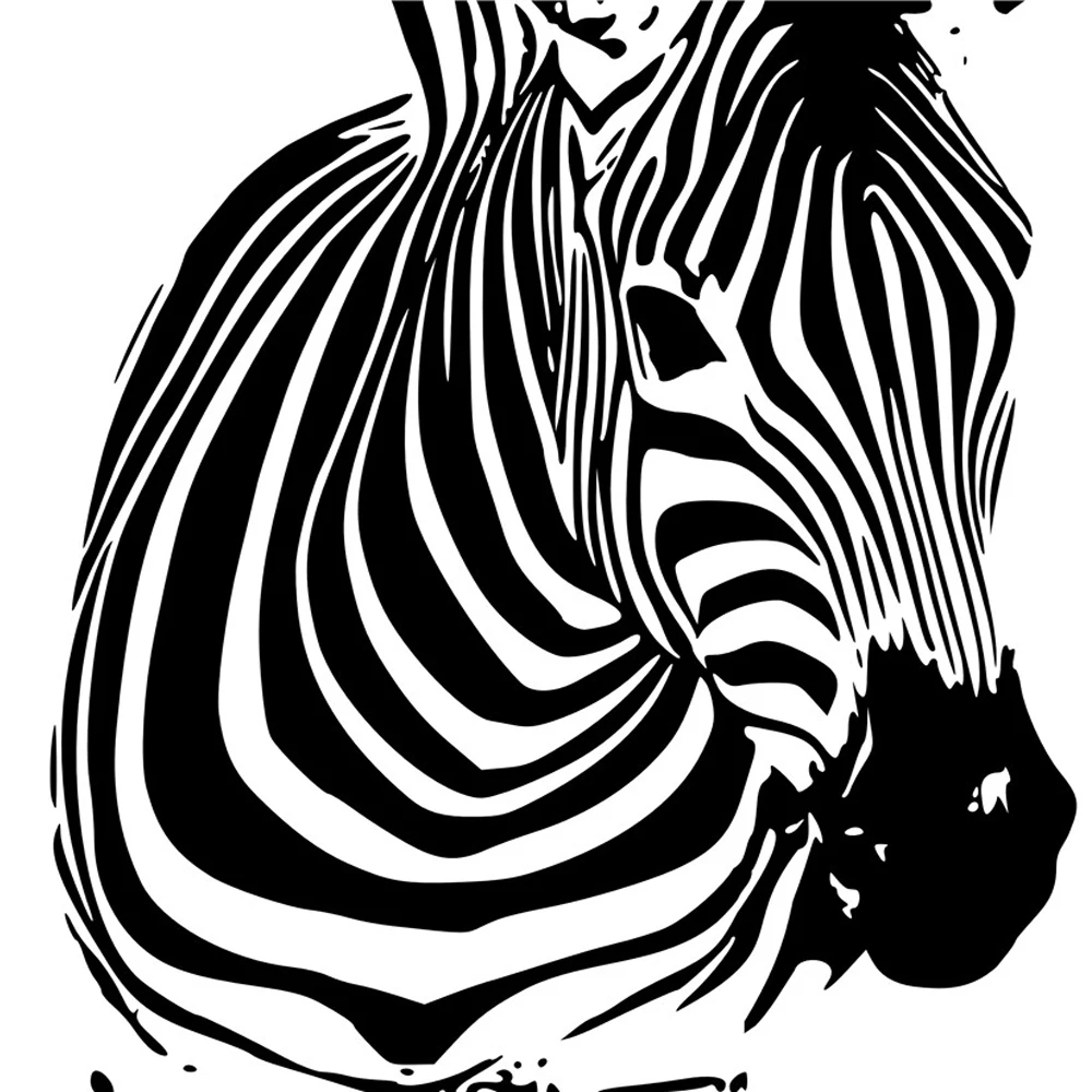 Зебра черно белая