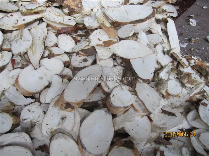 cassava chipper working.jpg