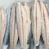 Seafood high quality frozen fish spanish mackerel fillet price for sale