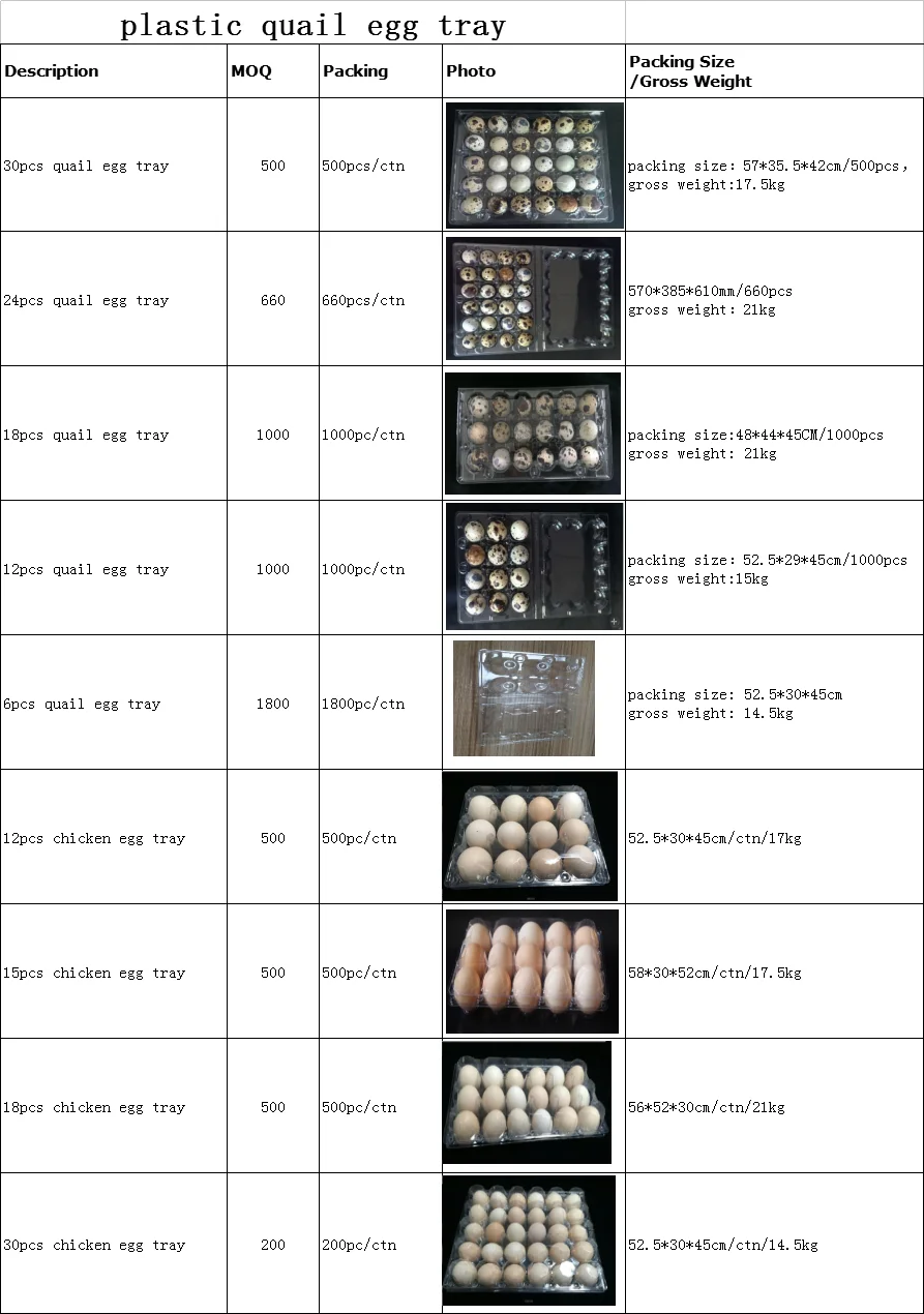 plastic egg tray.png