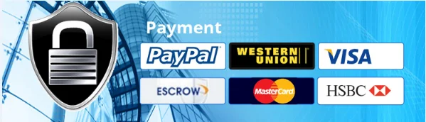 payment.png