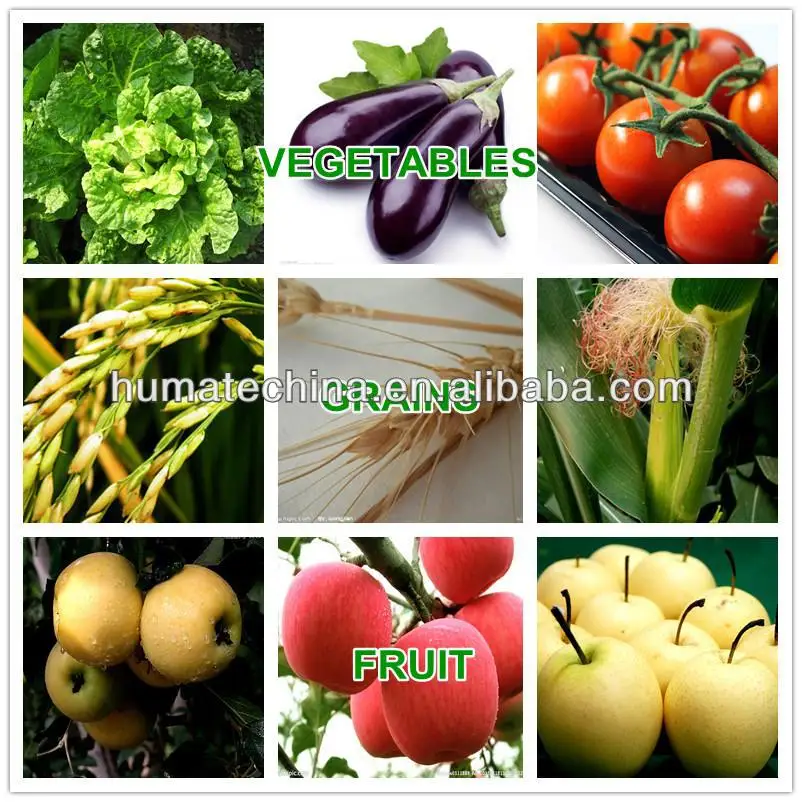 Yellow HUMIC ACID Fulvic Acid Organic Fertilizer 