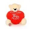 Valentine's Day Heart Teddy Bear/HappyValentine TeddyBear/LargeValentine TeddyBears
