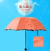 color changing umbrella fabric/The latest popular umbrella fabric