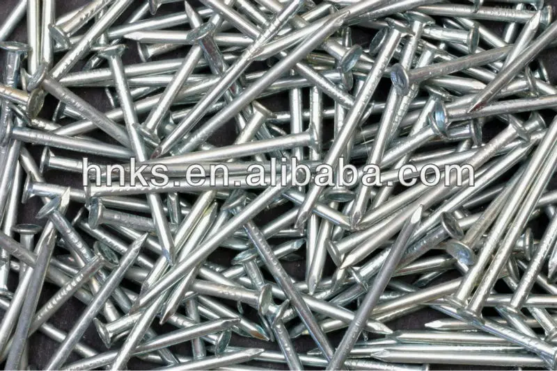 ibxeis00140471.jpg