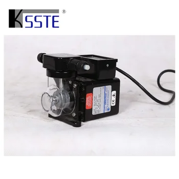 Pool Equipment Automatic Chlorine Feeder Dosing Pump Swimming Pool