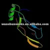 human recombinant BMP-4