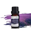 Natural Flower Extaction Essential Oil Lavender Bulk Plants Oil